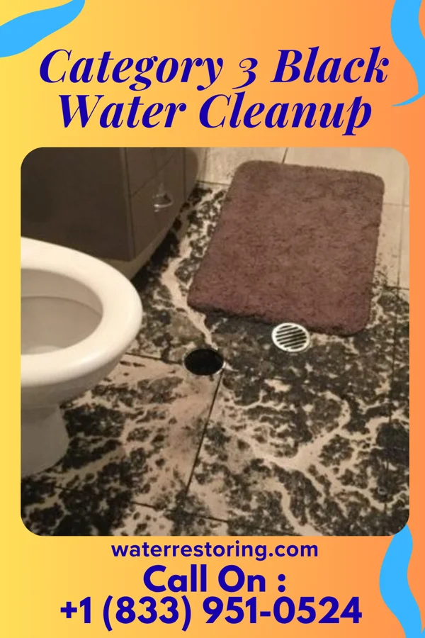 Category 3 Black Water Cleanup in Candlewick Lake, IL