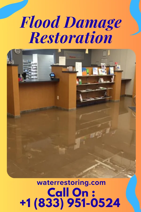 Flood Damage Restoration in Candlewick Lake, IL